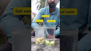 Amala reaction on salt water  normal water 🧐 shorts experiment [upl. by Orabla275]