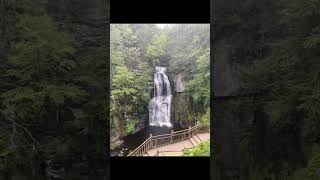 Bushkill falls was just…wow waterfall bushkillfalls pretty gorgeous shorts fypシ゚ [upl. by Oznohpla136]