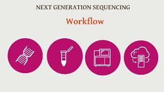 Sequencing walkthrough [upl. by Shane]