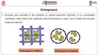 M10Immobilization of enzymes [upl. by Annabell]