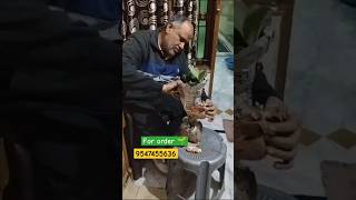 Plants Unboxing🌱 From Haryana  brandnursery review trend [upl. by Edy289]