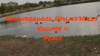 Neighborhood WalksHikes Volume II Ponds [upl. by Ire]