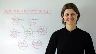 What Really Motivates People  Leadership Training [upl. by Yereffej]