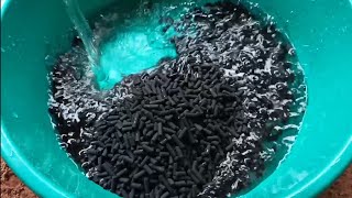 How to wash Activated Carbon Filter  Aquarium Filter media [upl. by Relda]