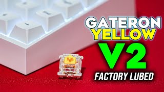 NEW Gateron Yellow GPro V2 Switches  Tofu65 [upl. by Onaicul]