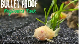 Beginner BulletProof Tank In 30 Minutes or less [upl. by Stuckey]