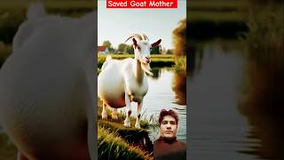 shortsDoctors rescue a pregnant goat 🐐 humanity [upl. by Ikkela]