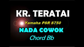 TERATAI  KERONCONG Karaoke By Saka [upl. by Derrek]