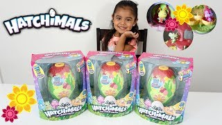 Hatchimals CollEGGtibles secret scene playset ALL 3 of them [upl. by Winson]