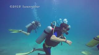 Cococay Scuba Dive [upl. by Drahcir]