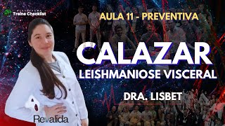 AULA 11  PREVENTIVA  LEISHMANIOSE VISCERAL  CALAZAR [upl. by Kerrin]