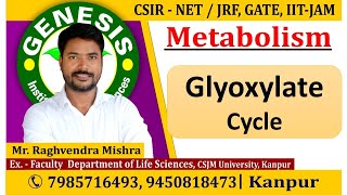 Glyoxylate Cycle  Metabolism CSIR NETJRF  GATE  Life science  biotechnology  ICMR [upl. by Shanley624]