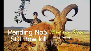 Bos amp Dal Barbary Sheep Bow hunt [upl. by Ahsilek259]