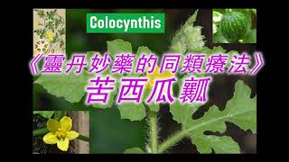 《靈丹妙藥的同類療法》 EP56  苦西瓜瓤 Colocynthis [upl. by Heer]