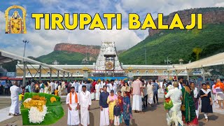 Tirupati Balaji Temple Darshan  तिरुपति बालाजी  Tirupati Balaji Tour Guide Vlog  Tirumala Temple [upl. by Mazlack]