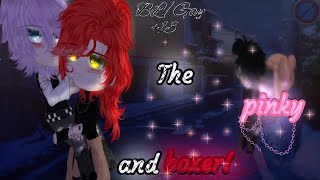 The pinky and boxer  OG  BLGay  Original Gay Gacha movie  13 [upl. by Topliffe]