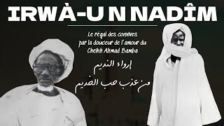 Irwaa u Nadîm  Leçon 9  Le retour triomphal de Cheikhoul Khadîm au Sénégal le 11 novembre 1902 [upl. by Kimmi]