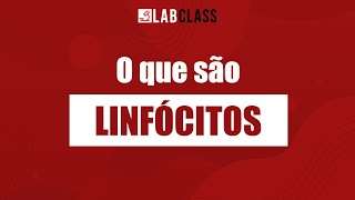 O que são linfócitos [upl. by Gina]