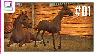 Horse Life Part 1 Horse Game [upl. by Mariellen906]