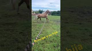 En el recreo después de la lluvia ☔️ [upl. by Ives]