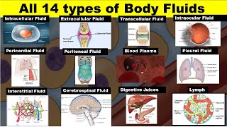 Body fluids  Extracellular fluid  Transcellular fluid  Interstitial Fluid  Dr Ghanshyam Jangid [upl. by Laurella]