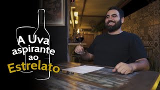 Malvasia Nera a uva aspirante ao estrelato [upl. by Orferd]