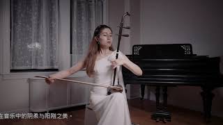 LIVE Taiji Warrior  Zhonghu  Erhu  Banhu  Feifei Yang 《太极琴侠》杨飞飞 [upl. by Lou618]