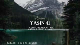 Surah Yasin 41 untuk hajat [upl. by Nosahc]