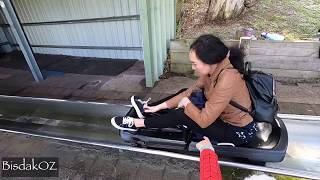 TOBOGGAN RIDE at Toboggan Hill Park Port Stephens [upl. by Cicily]