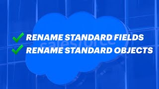 Rename Standard Fields amp Standard Objects In Salesforce [upl. by Aerdnaz]