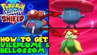 How to evolve GLOOM to VILEPLUME amp BELLOSSOM in Pokemon Sword amp Shield [upl. by Sedberry]