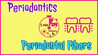 PERIODONTAL FIBERS  PRINCIPAL FIBERS  PERIODONTICS  EASY DENTAL LECTURE  5 min DENTISTRY [upl. by Orv]