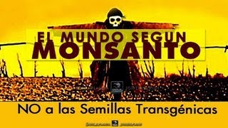 quotEL MUNDO SEGÚN MONSANTOquot  Documental completo doblado al Español [upl. by Ayortal695]