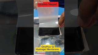 OnePlus 12 Hydrogel Membranegizmonepal oneplus12 hydrogel hydrogelmembrane shorts [upl. by Doownyl]