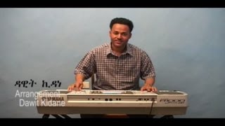 ERITREAN INSTRUMENTAL MUSIC  DAWIT KIDANE GENA EU EDLEY  ገና ዩ ዕድለይ BY TECLE TESFAZGI [upl. by Aissatsan]