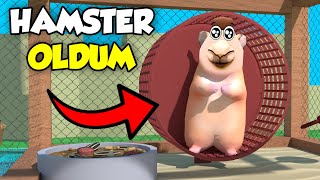 🐹 HAMSTERIN GÖZÜNDEN ROBLOX [upl. by Marras683]