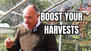 Boost Your Vegetable Yields with These GameChanging Gardening Hacks [upl. by Miko]