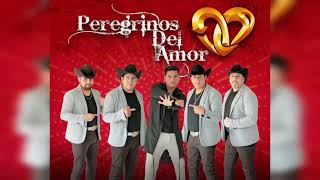 PEREGRINOS DEL AMOR ♦ MIX 2024 ♦ Grandes Éxitos [upl. by Sirred473]