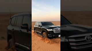 Toyota land cruiser zx lc300 at DESERT SAFARI shorts [upl. by Riorsson]