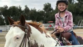 My first horseback riding lesson [upl. by Lester303]