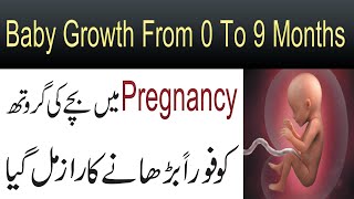 Pregnancy Mein Bachay Ki Growth Ko Barhane Ka Ilaj  Facts Of Baby Growth From 0 To 9 Months [upl. by Weisbart]