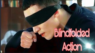 The Blindfolded MARTIAL arts man Kung fuand jet le actions [upl. by Brenk851]