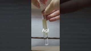 chemistry experiment funny memes water AgNO3KIKNO3AgI [upl. by Hoye91]