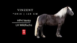 Vinzent 2016 v VentoWildfuchs [upl. by Esertak]