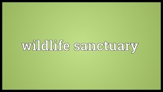 Wildlife sanctuary Meaning [upl. by Anihtyc]