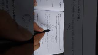 Reactions of Benzyl Chloride [upl. by Eisnyl]