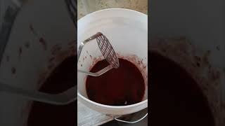 In this video I start a new batch of blueberry mead 🍾🫐 shorts mead winemaking love DeziakMead [upl. by Statis]