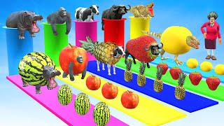 Elephant Mammoth Gorilla Tiger Hippo Zombie T Rex Fountain Transformation Crossing 3d Animal Game [upl. by Eiluj]