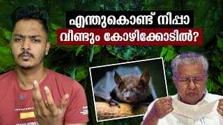 കേരളം ആശങ്കപ്പെടേണ്ടതുണ്ടോ Nipah Virus In Kozhikode  Malayalam Nipa Virus [upl. by Stilla622]