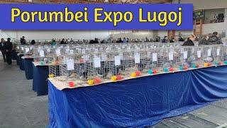 Expozitia de pasari si animale mici Lugoj  part 1 [upl. by Toolis]